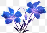 PNG Illustration wild flower neon rim light purple plant blue.