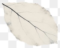 PNG Black leaf shape marble distort shape plant paper white.