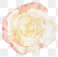 PNG Gold rose shape marble distort shape flower petal plant.