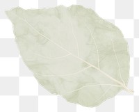 PNG Green leaf marble distort shape plant white background pattern.