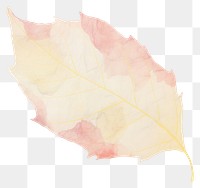 PNG Leaf shape marble distort shape backgrounds abstract plant.