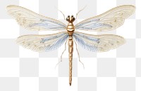 PNG Dragonfly in embroidery style animal insect invertebrate.