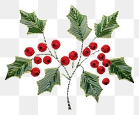 PNG Holly in embroidery style pattern plant leaf.