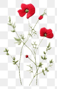 PNG Wildflower in embroidery style poppy plant petal.