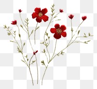 PNG Wildflower in embroidery style plant inflorescence creativity.