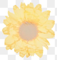 PNG Sunflower shape marble distort shape petal plant white background.