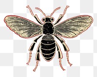 PNG Silkscreen illustration of insects art animal bee.