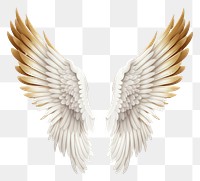PNG  Angel wings white bird white background. 