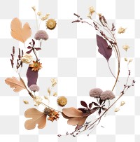 PNG Real Pressed Flowers flower wreath celebration. AI generated Image by rawpixel.
