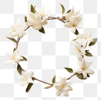 PNG Real pressed gardenia flowers jewelry wreath petal. 