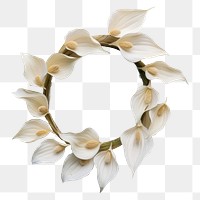 PNG Real pressed peace lily flowers wreath paper plant. AI generated Image by rawpixel.