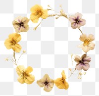 PNG Real pressed primrose flowers jewelry wreath petal. AI generated Image by rawpixel.