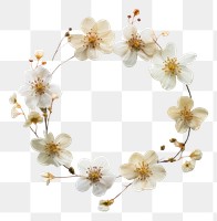 PNG Real pressed small flowers jewelry wreath petal. 