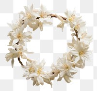 PNG Real pressed tuberose flowers jewelry wreath petal. AI generated Image by rawpixel.