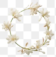 PNG Real pressed tuberose flowers wreath petal plant. AI generated Image by rawpixel.