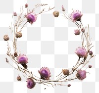 PNG Real pressed thistle flowers wreath purple plant. 