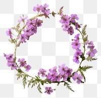 PNG Real pressed verbena flowers jewelry purple wreath. AI generated Image by rawpixel.