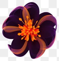 PNG  A flower purple petal plant.