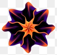 PNG  A flower pattern black background kaleidoscope.