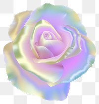 PNG  A holography rose icon flower petal plant.