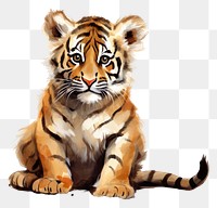 PNG  Cute bengal tiger wildlife animal mammal.