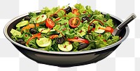 PNG  Vegan salad food bowl white background.