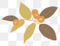 PNG  Illustration of a simple coffee plant leaf freshness appliance.