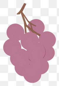 PNG  Illustration of a simple grape grapes plant food.