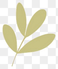 PNG  Illustration of a simple olive leaf plant astragalus blossom.