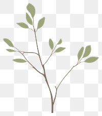 PNG  Illustration of a simple Twig Green Leaves pattern plant green.