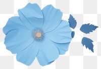 PNG Blue flower petal plant leaf.