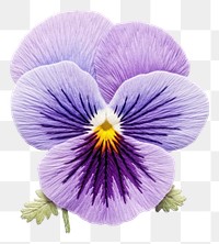 PNG Pansy in embroidery style flower purple petal.