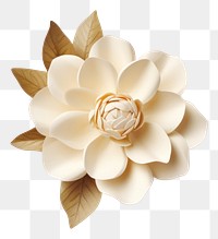 PNG  White flower packaging mockup jewelry brooch plant.