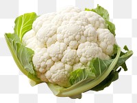 PNG Cauliflower cauliflower vegetable white.