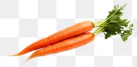 PNG Fresh one Carrot carrot vegetable plant.