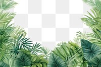 PNG  Palm leaves green land backgrounds. 