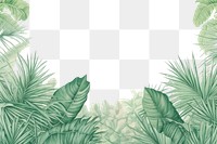 PNG  Palm leaves green backgrounds outdoors