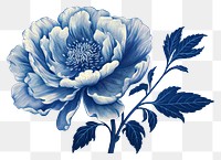 PNG Blue flower pattern drawing sketch.