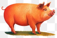 PNG  A farm pig mammal animal boar.