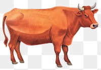 PNG  A cow livestock cattle mammal.