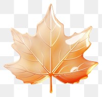 PNG  Maple leaf plant tree white background.