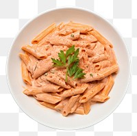 PNG  Tomato penne pasta plate.