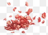 PNG Falling red rose petals plant freshness blossom.