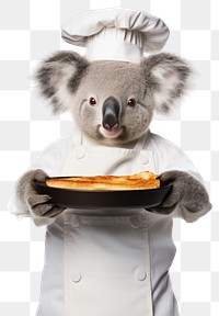 PNG  Koala holding food mammal animal chef.