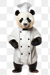 PNG Panda mammal bear chef.