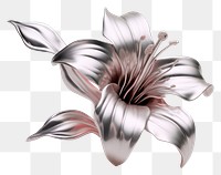PNG Lilly Chrome material flower petal plant