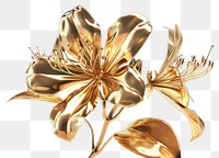 PNG Flower gold brooch plant