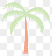 PNG  Coconut palm tree plant coconut palm tree white background.