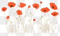 PNG  Red poppy bouquet drawing flower plant.