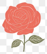 PNG  Red rose flower drawing plant art.